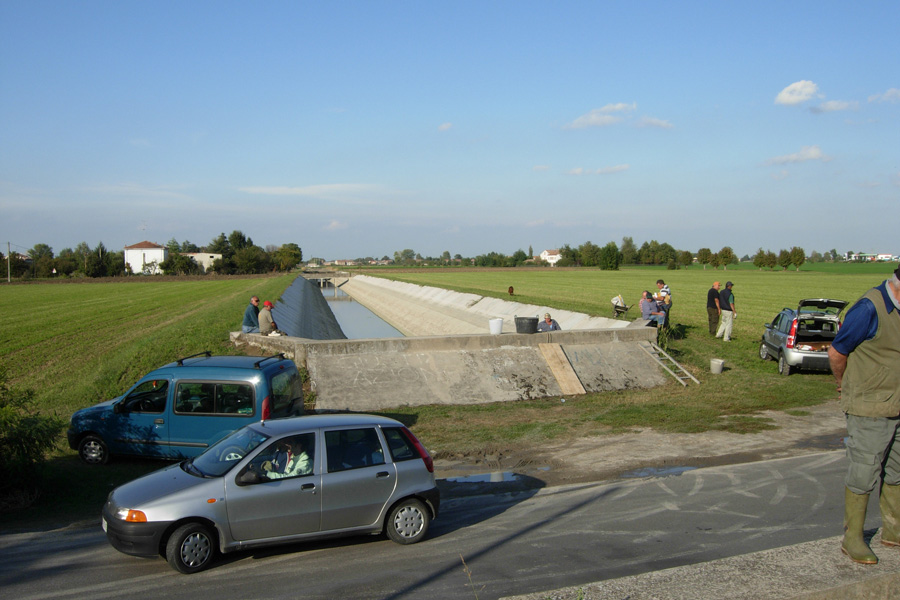 Svuotano le botti
